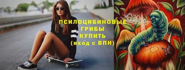 a pvp Алзамай