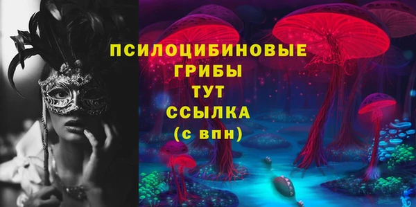 a pvp Алзамай