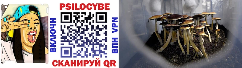 Купить  Видное  Галлюциногенные грибы GOLDEN TEACHER 